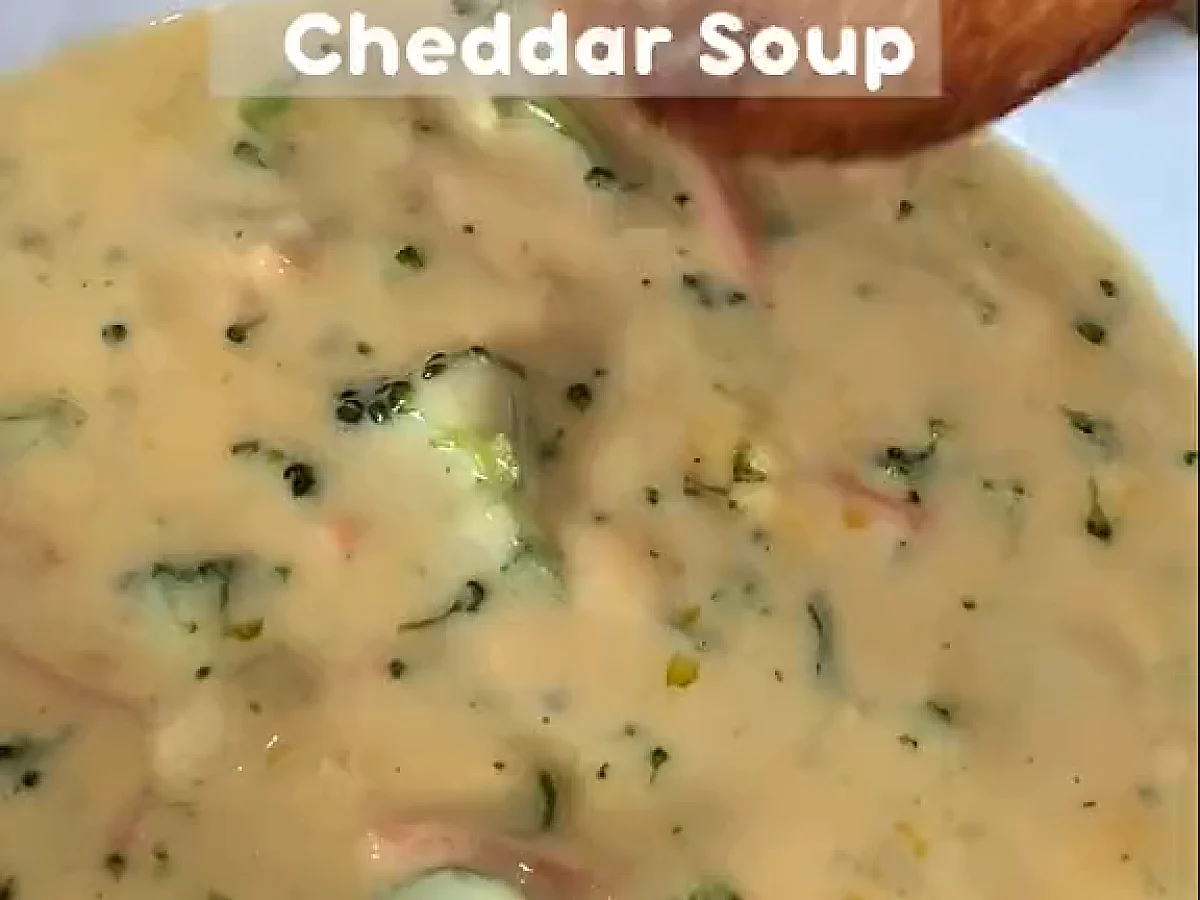 Broccoli Cheddar Soup, freshly made and ready to serve