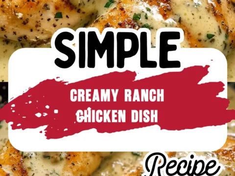 Best Quick Chicken Recipes You Will Make Again